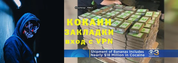 ГАЛЛЮЦИНОГЕННЫЕ ГРИБЫ Верея