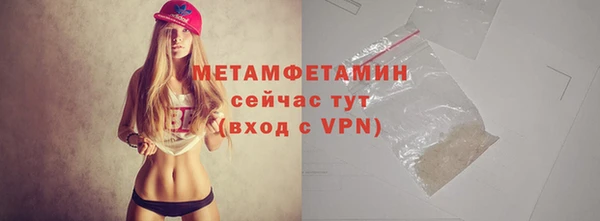 ГАЛЛЮЦИНОГЕННЫЕ ГРИБЫ Верея