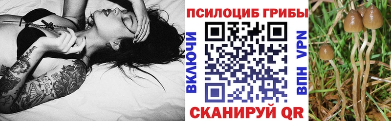 Галлюциногенные грибы ЛСД  Ишим 
